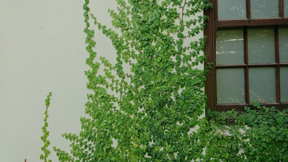 Фото 47 Berg Street