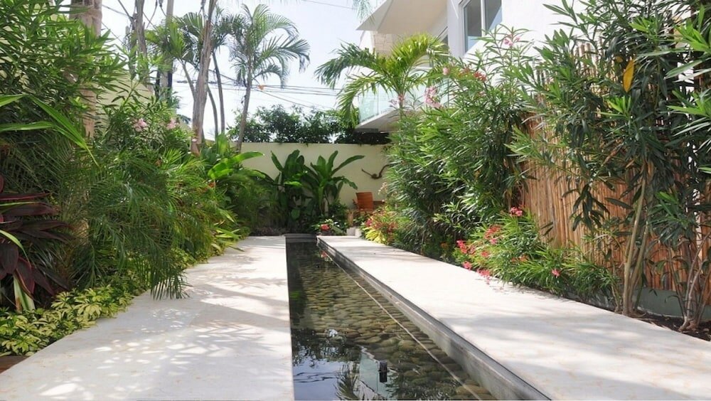 Фото La Papaya Plus 303 by Vimex