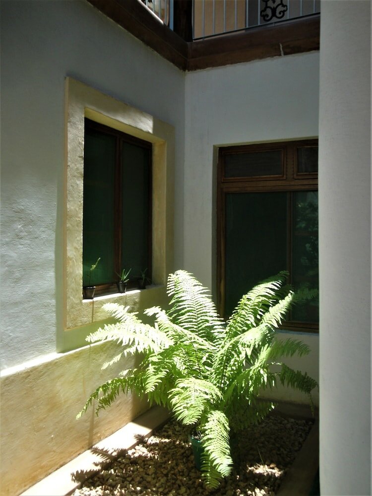 Фото Jardim dos Aloés - Unique B&b