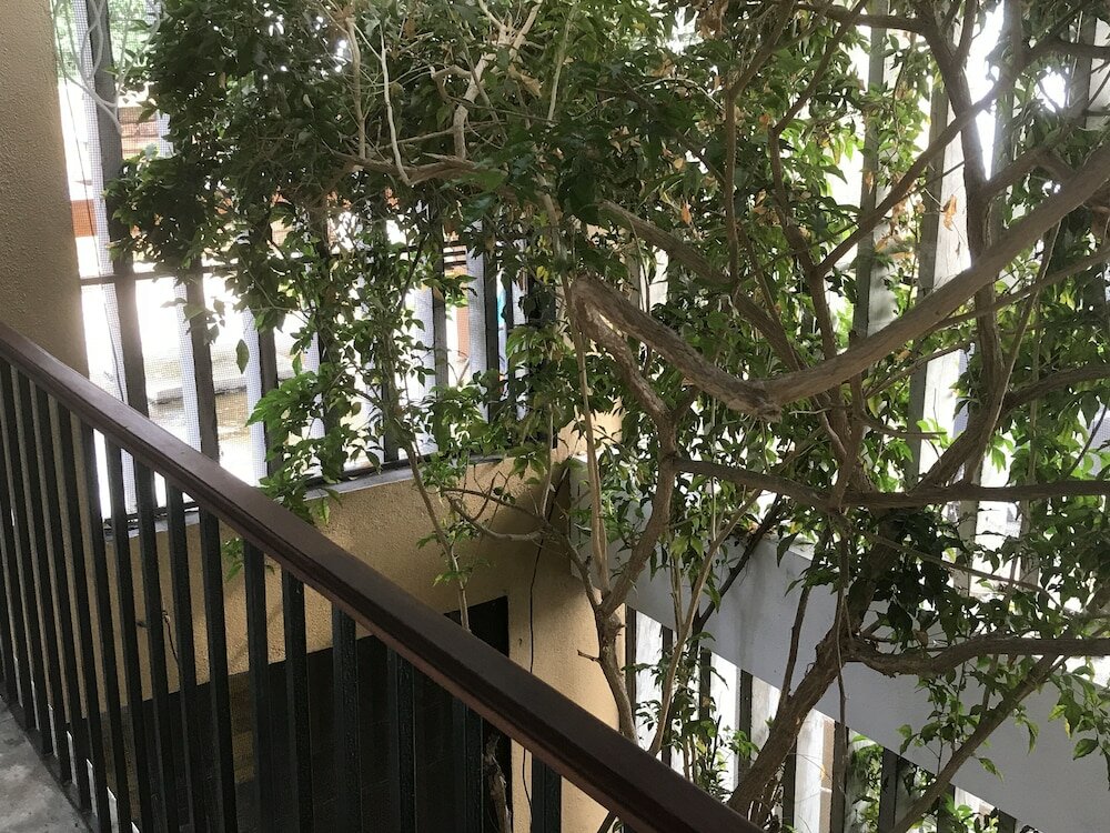 Фото Villa Colombo Five