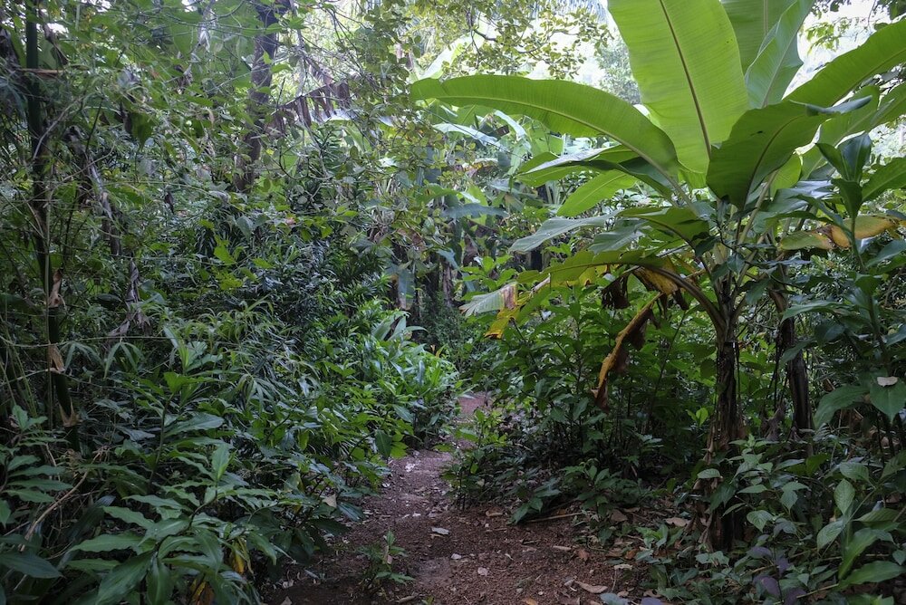 Фото Khaama Kethna Wellbeing Retreat Centre