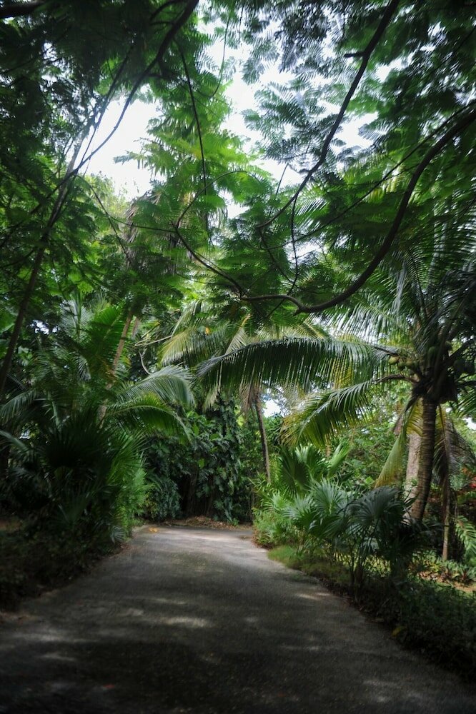 Фото Tranquility Cove