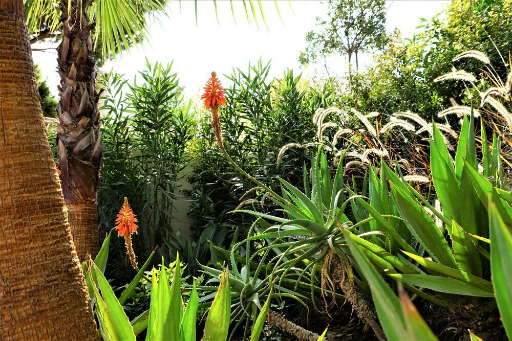 Фото Charming Exceptional Villa in Algarve