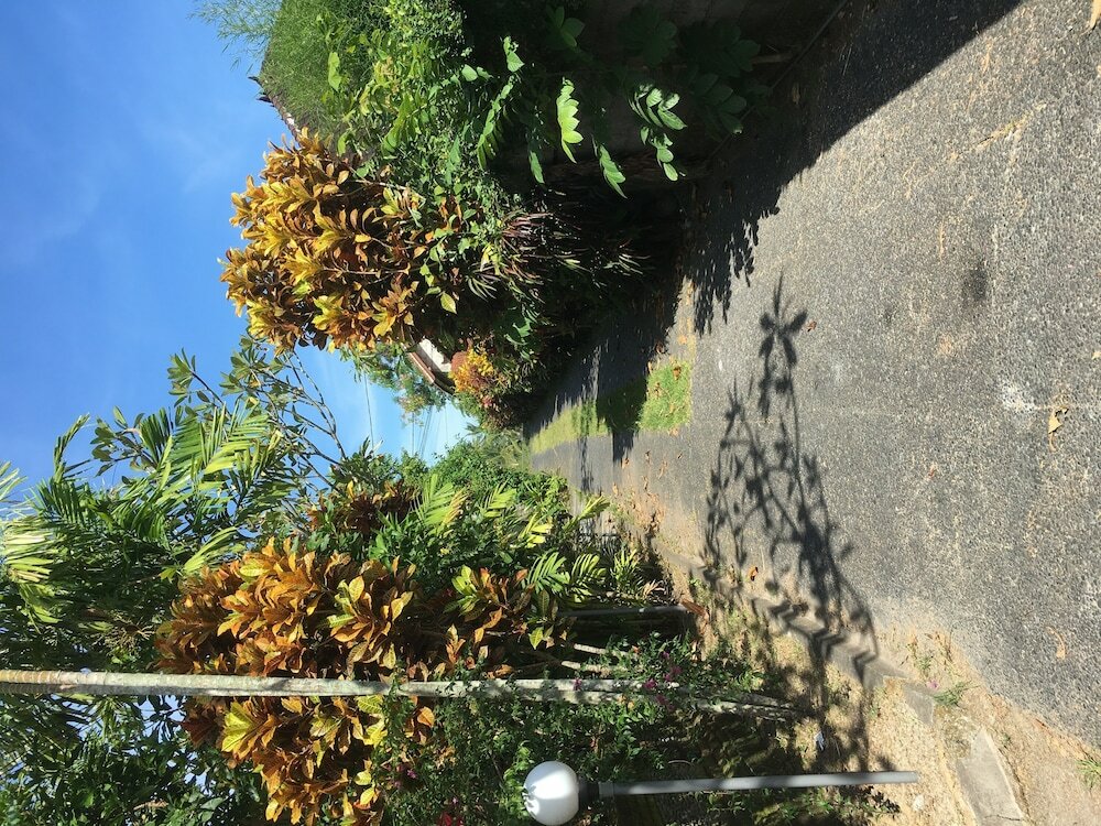 Фото Ayung house