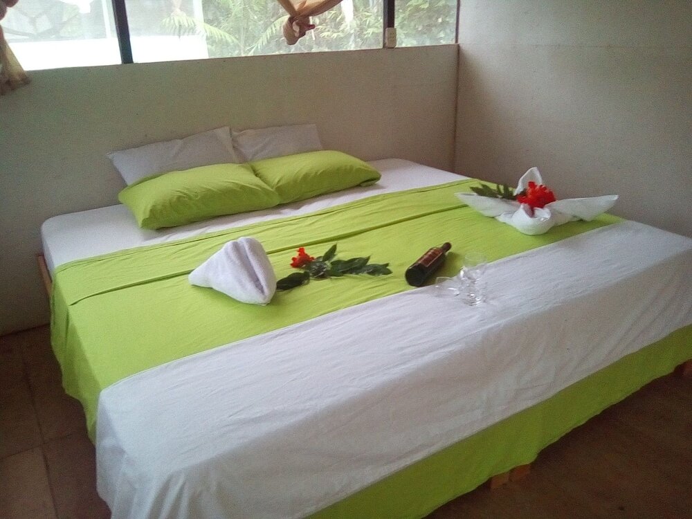 Фото Amazon Canopy Expeditions Ecolodge