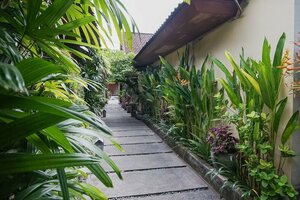 Гостиница Wayan Homestay Sanur