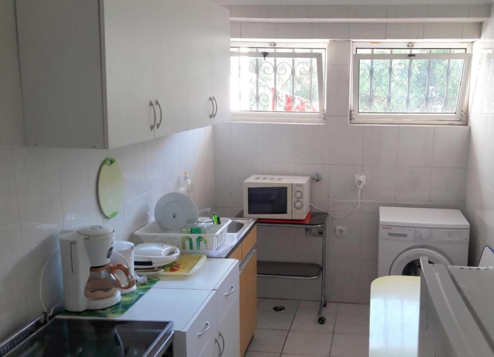 Фото Palm Guesthouse