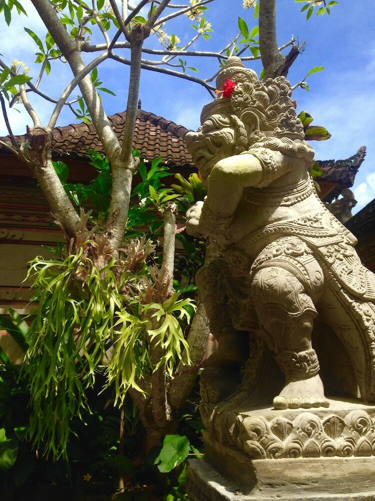 Фото Wina Ubud B&b