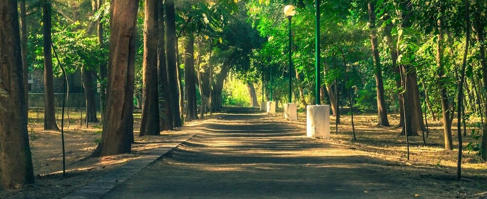 Фото Oyo 10362 Sector 45