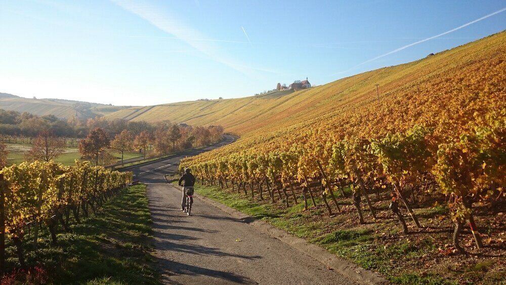 Фото Hotel Am Torturm