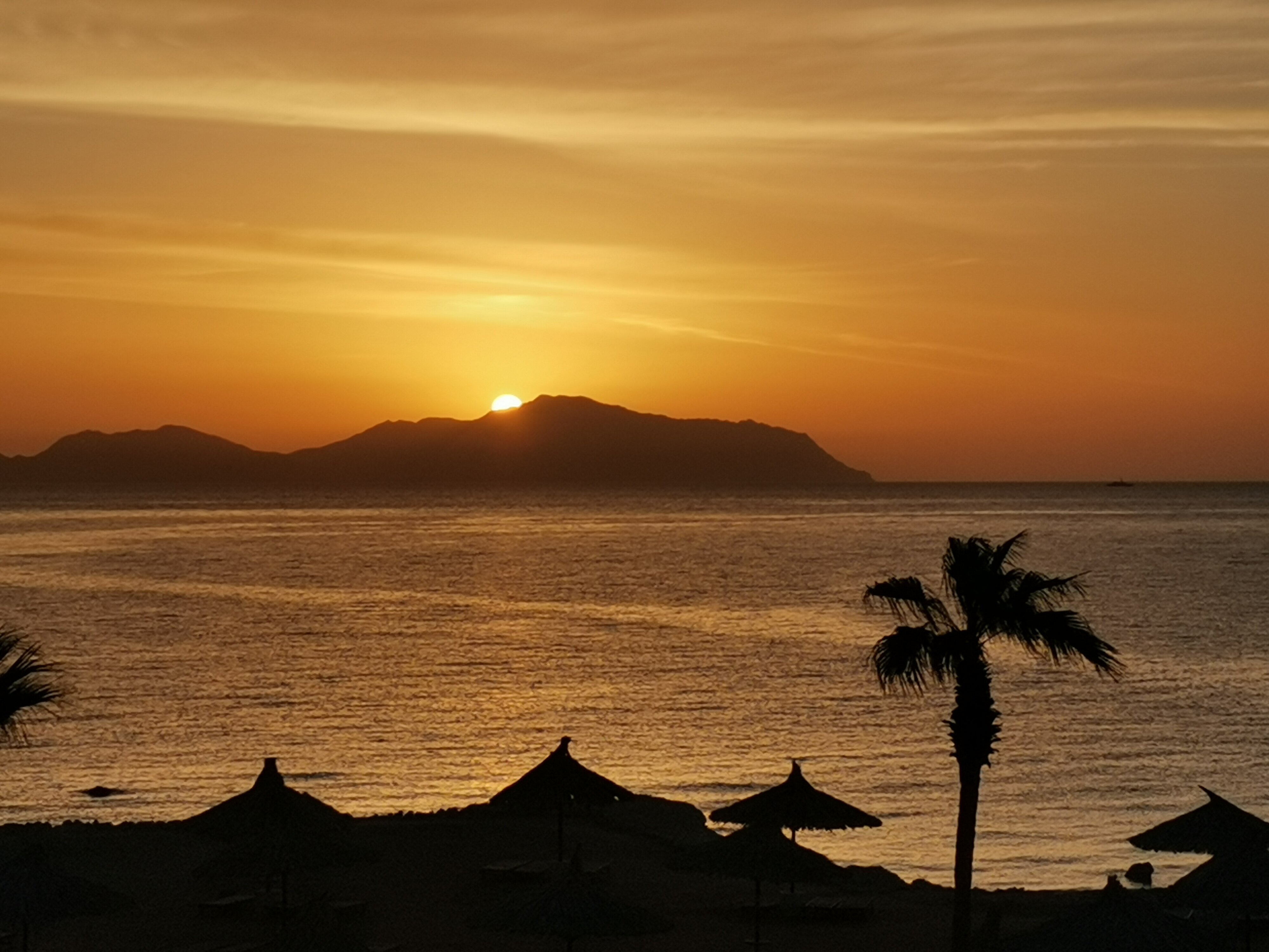 Фото Sheraton Sharm Hotel, Resort, Villas & Spa