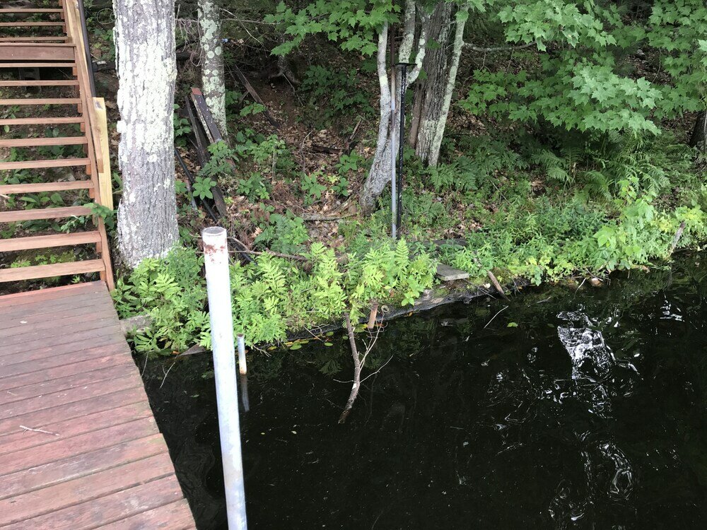 Фото Iggy & Al's Treehouse