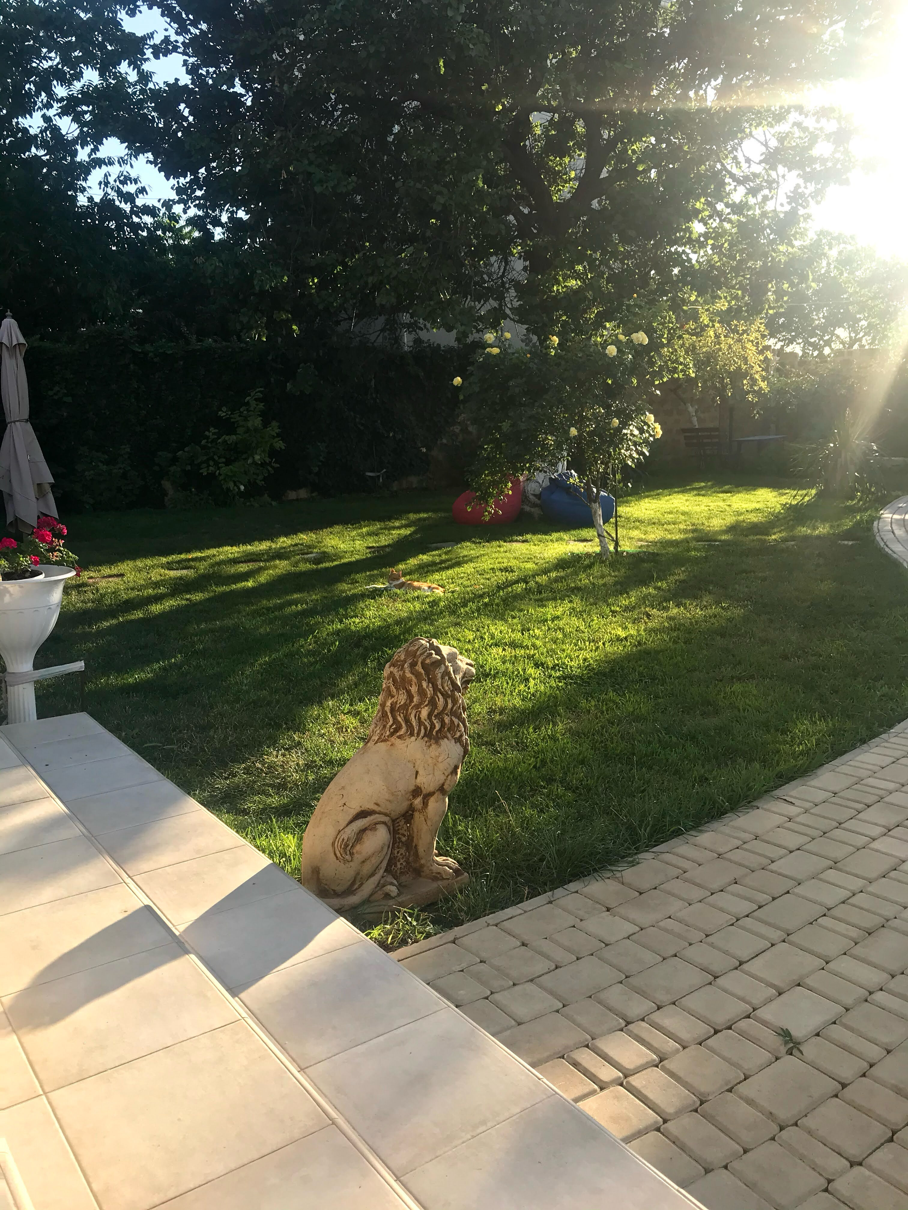 Фото Райский уголок