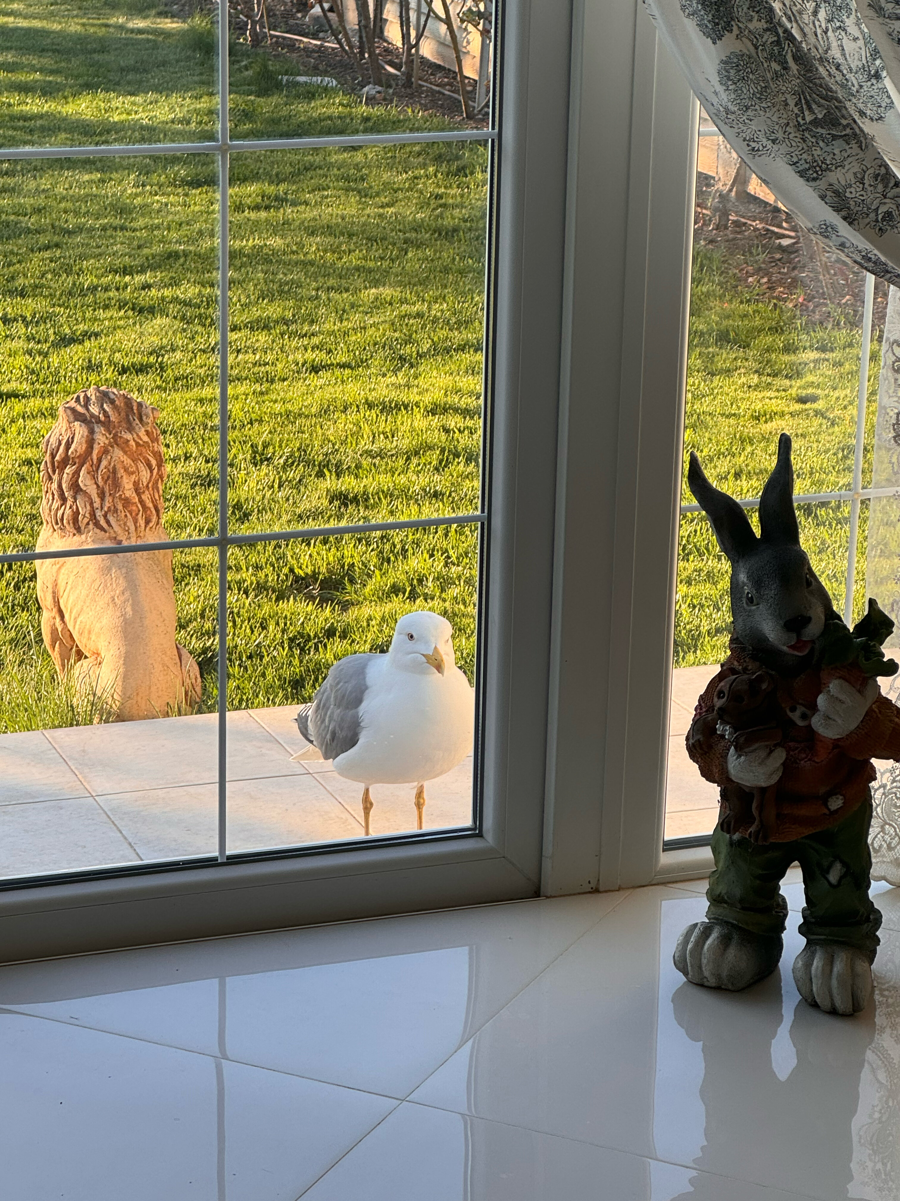 Фото Райский уголок