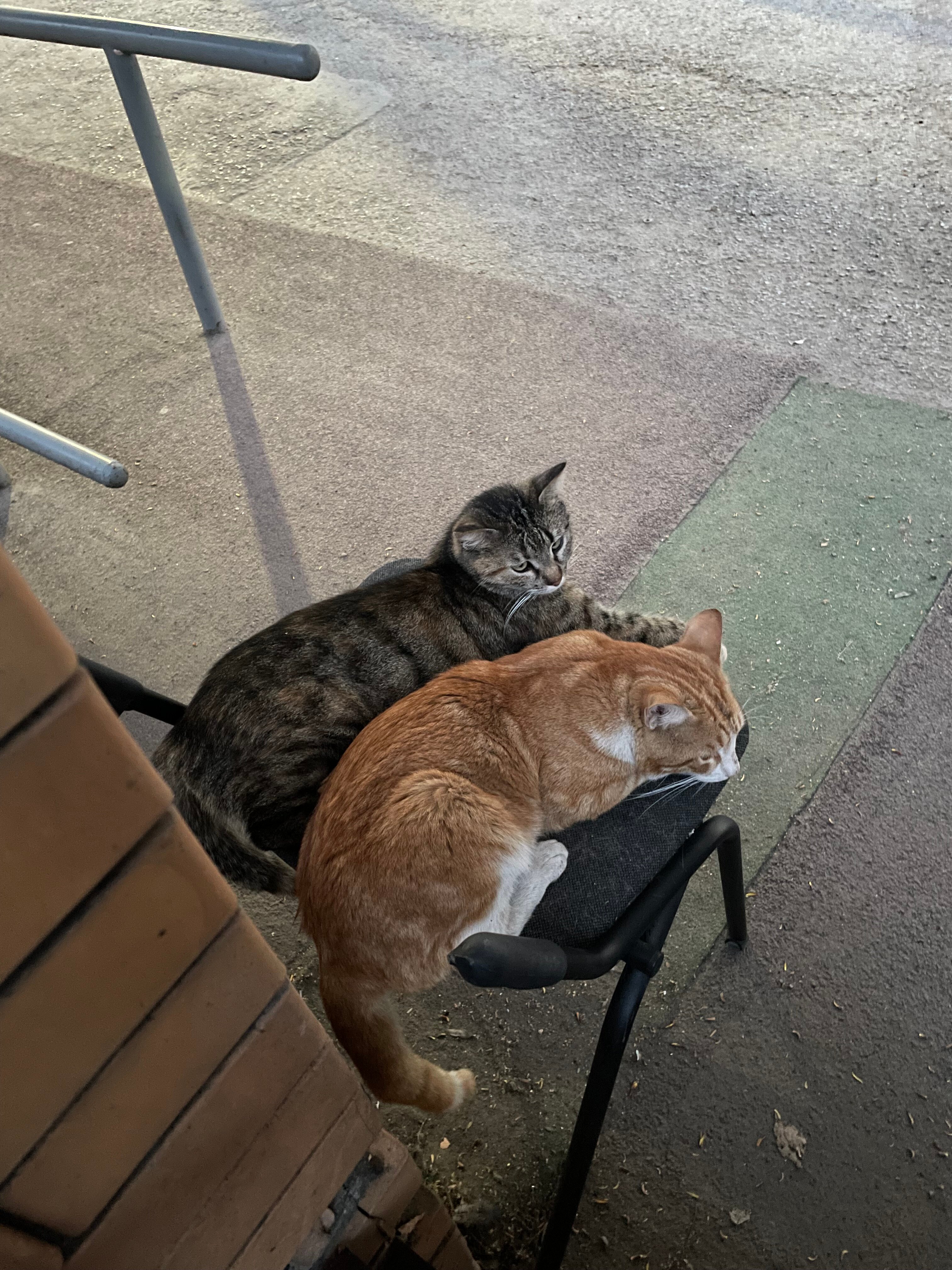 Фото БиблиОтель