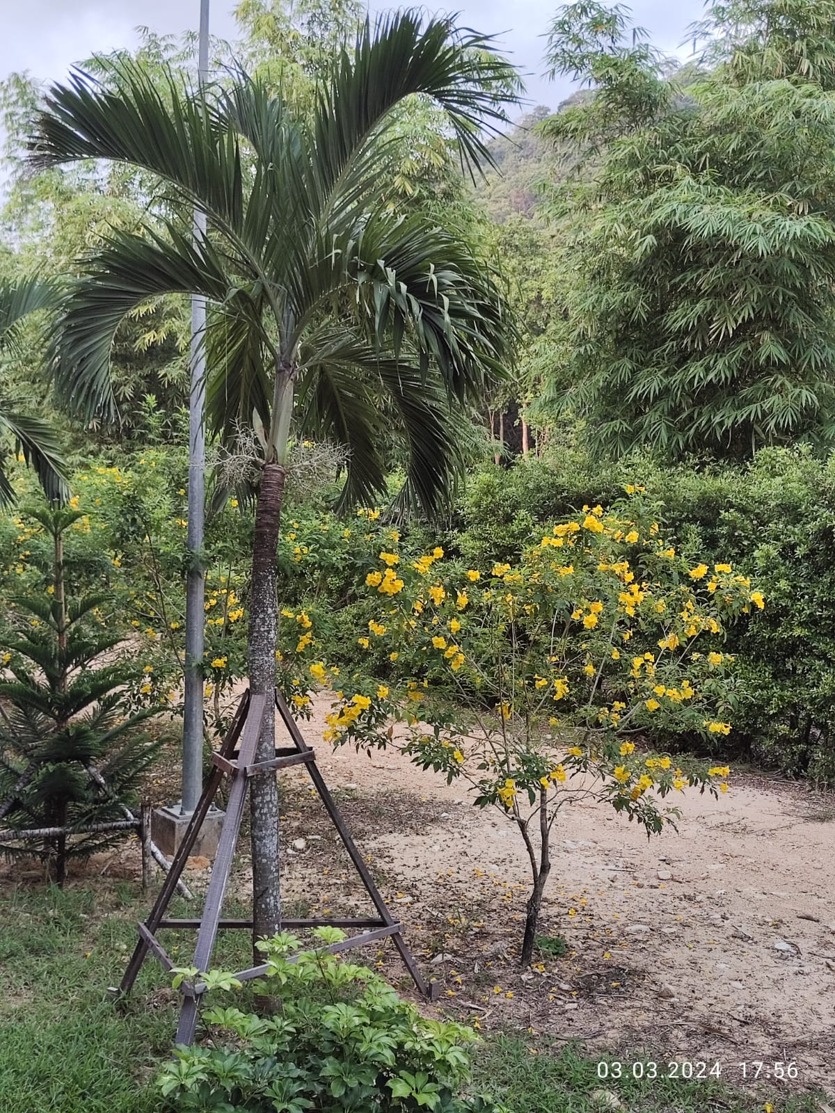 Фото Koh Chang Paradise Hill