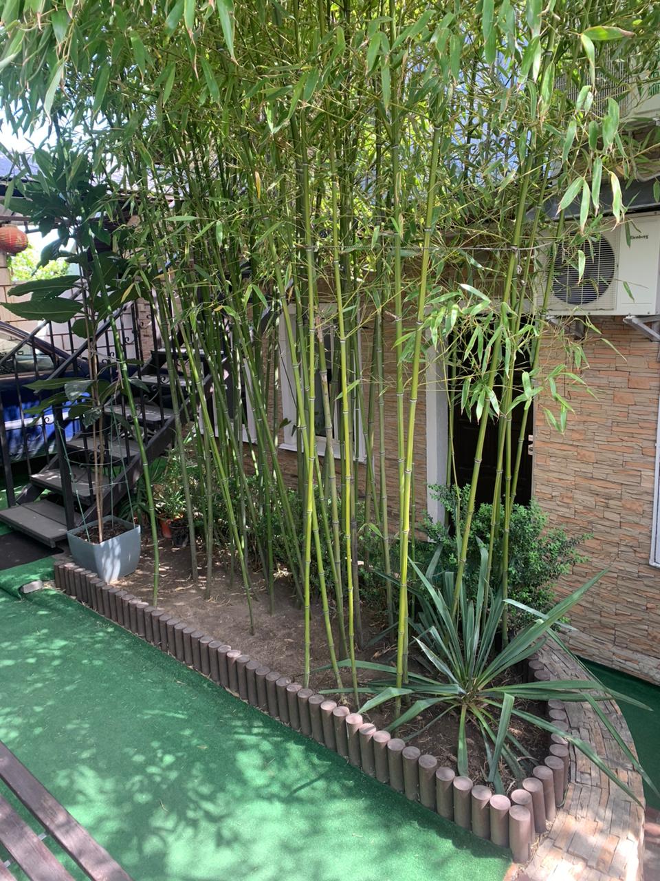 Фото Мансарда-студия