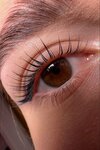 D. S brow lash (Zavodskaya Street, 18к3) ، شريط حاجب العين