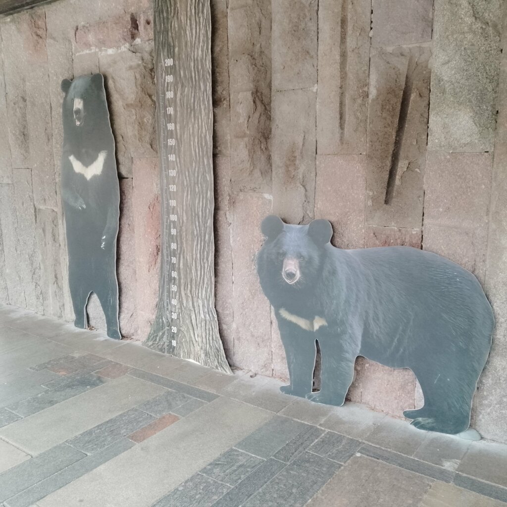 Вольер животных Медведь-губач, Москва, фото