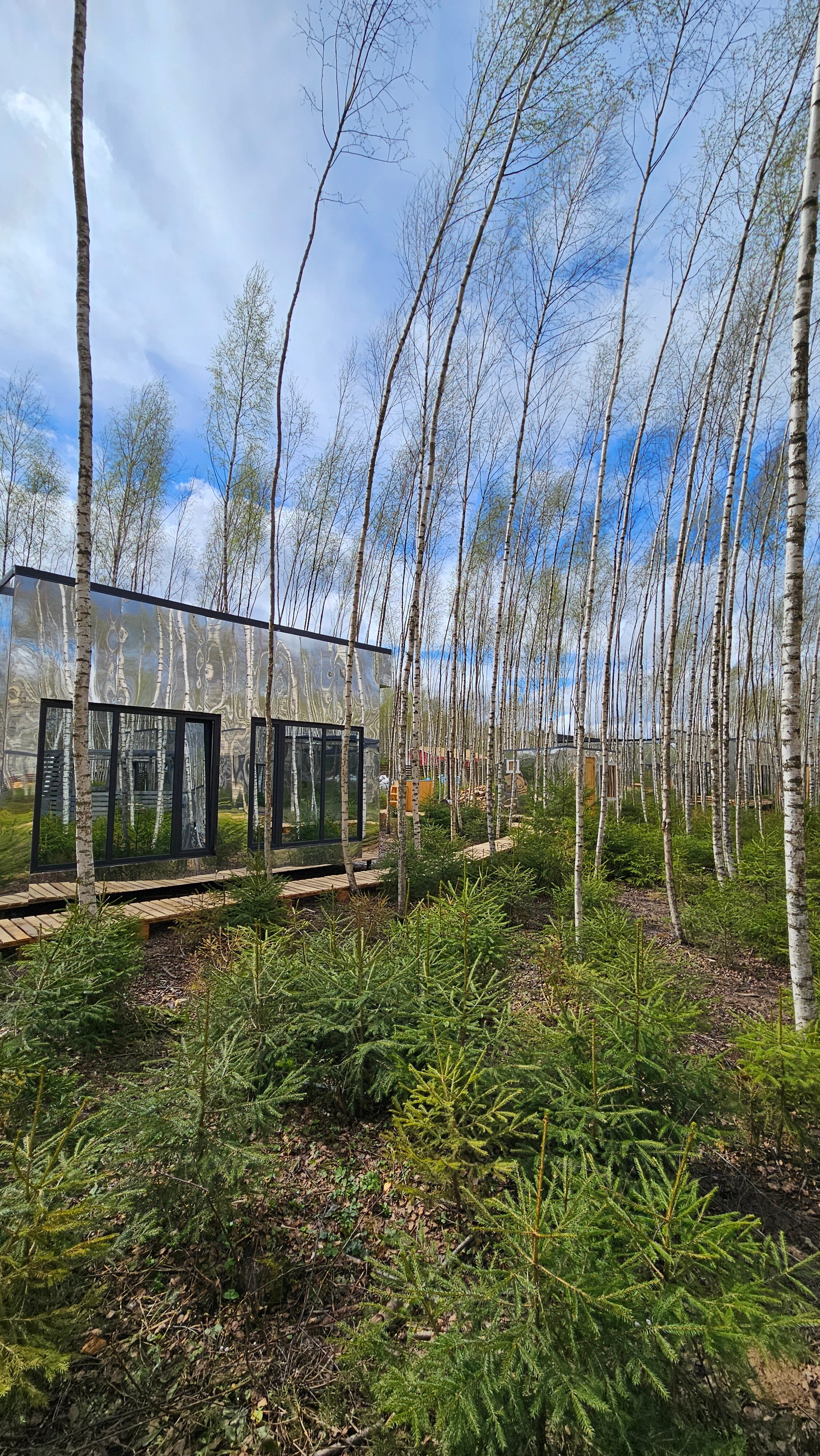 Фото Мы Дома- Зеркальный лес