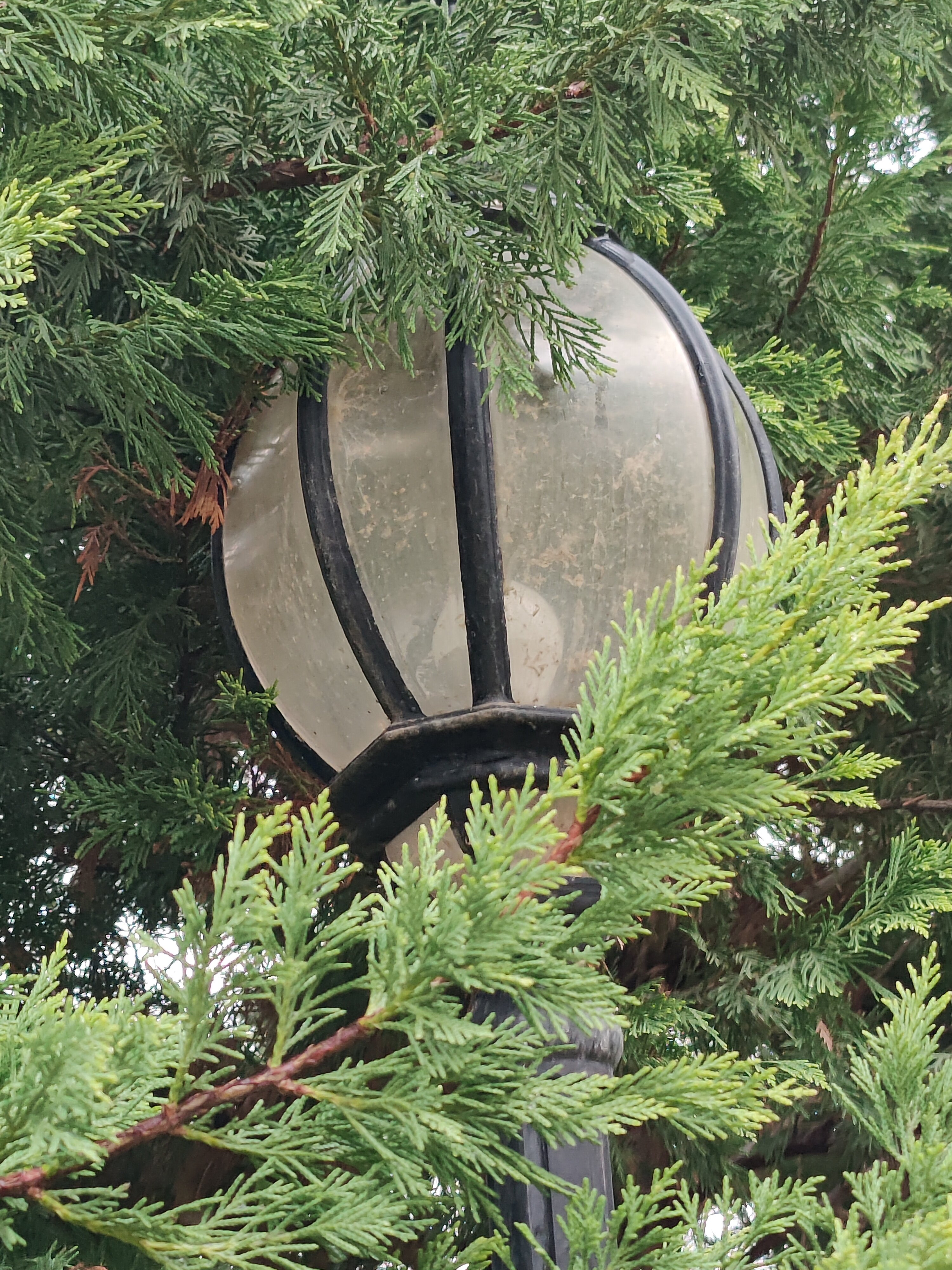 Фото Garabagh Resort & SPA