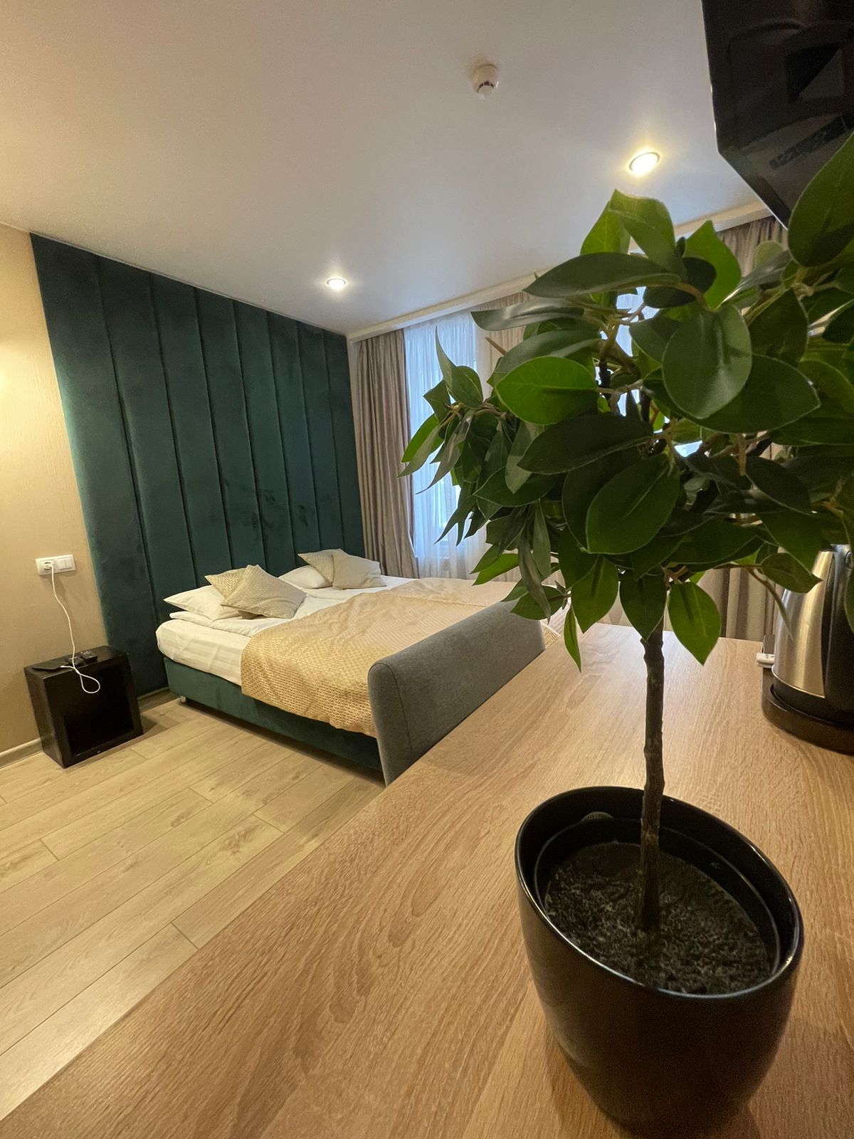 Фото Амиго Syncotel