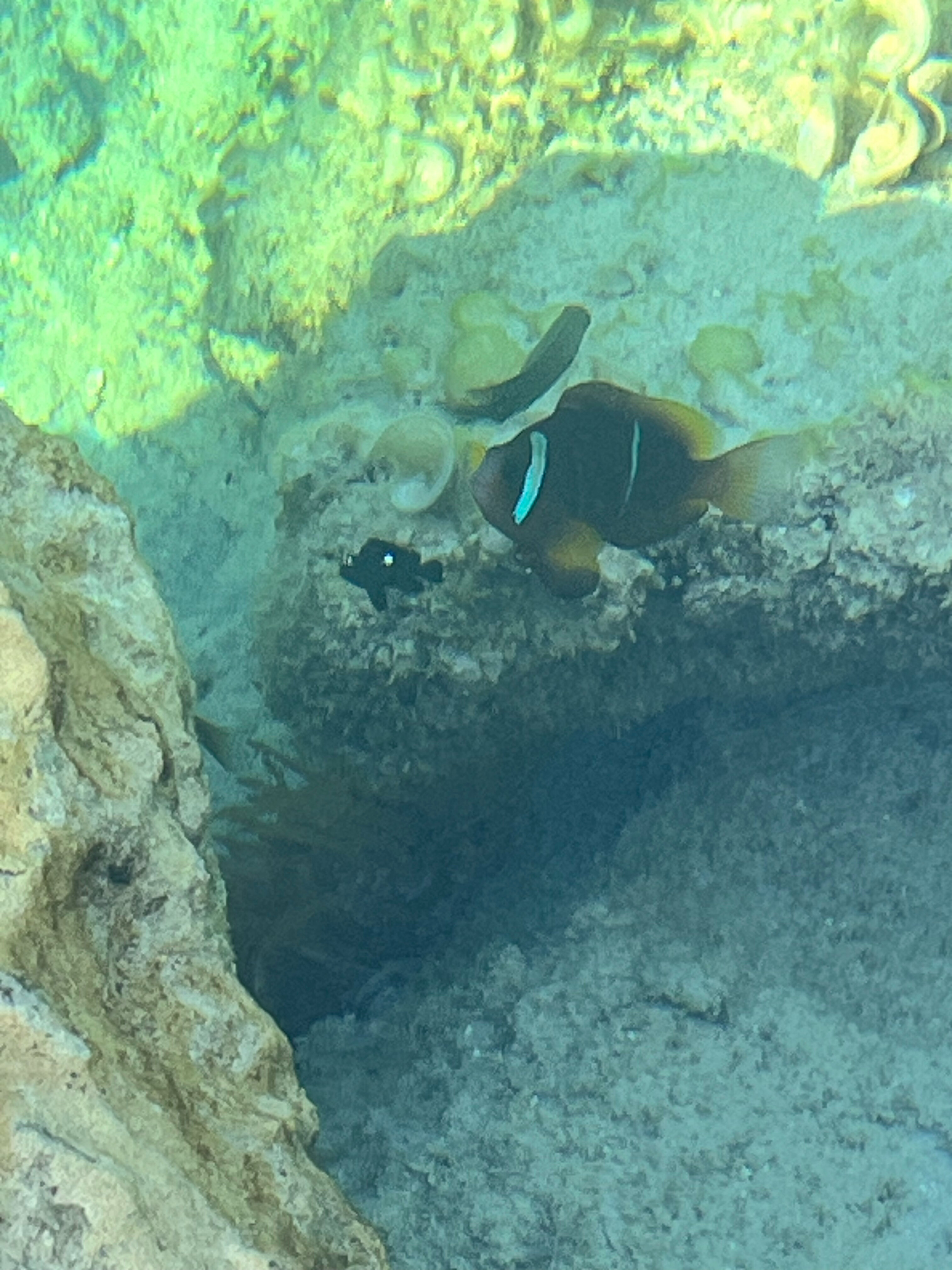 Фото Regina Resort and Aqua Park