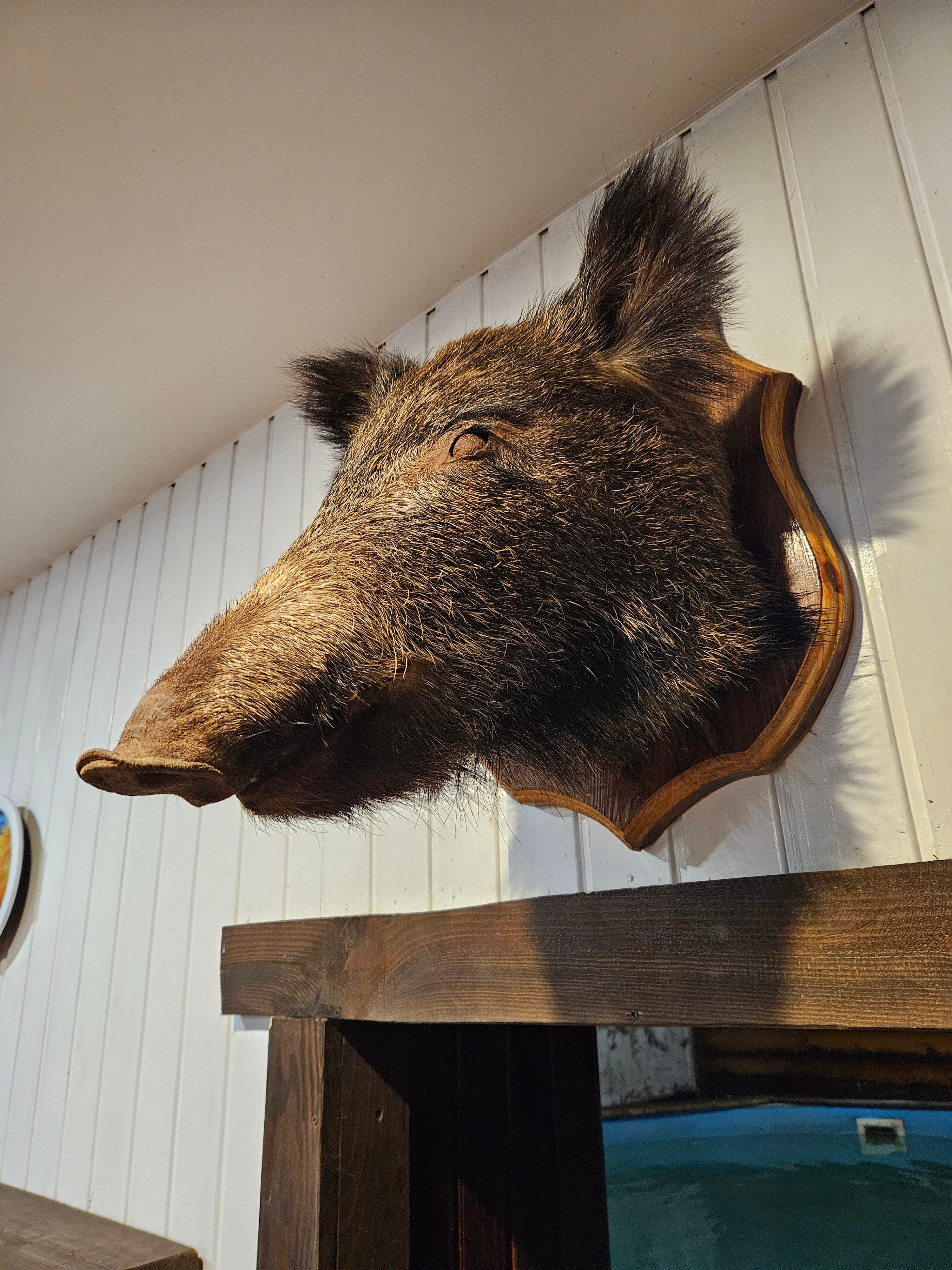 Фото Большая медведица