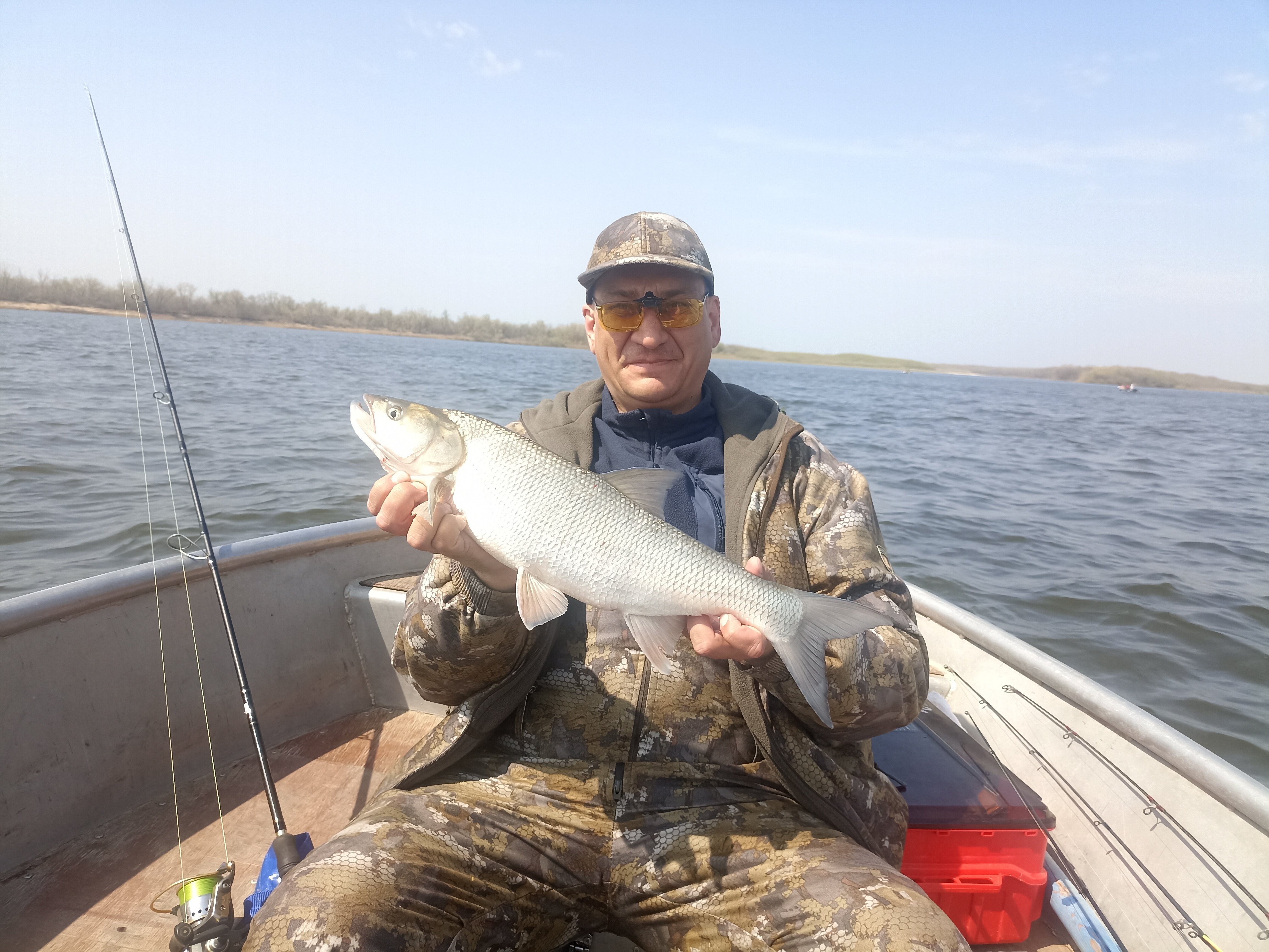 Фото Синяя птица