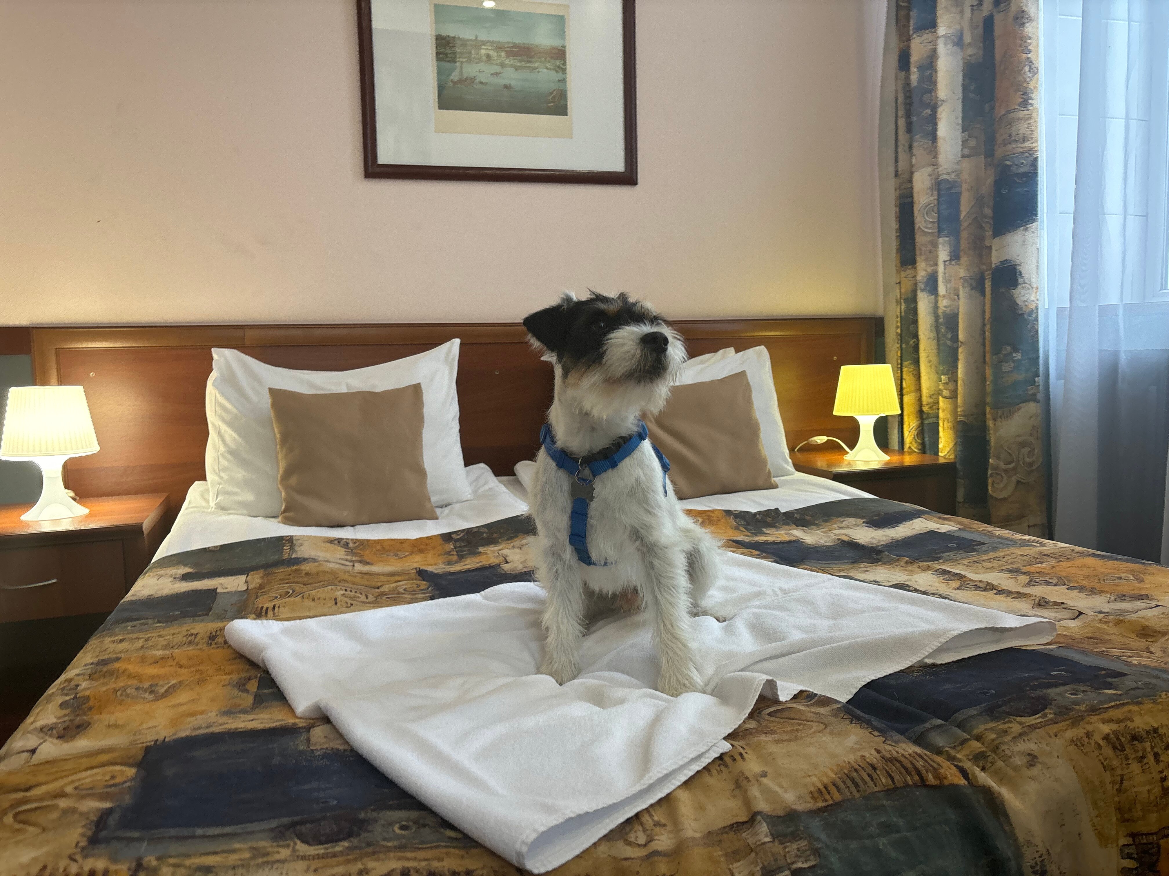 Фото отеля 2