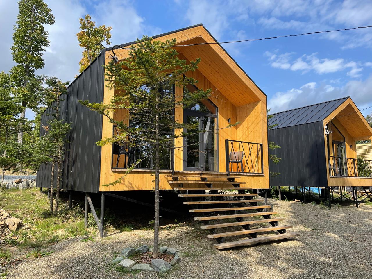 Фото Pine Family