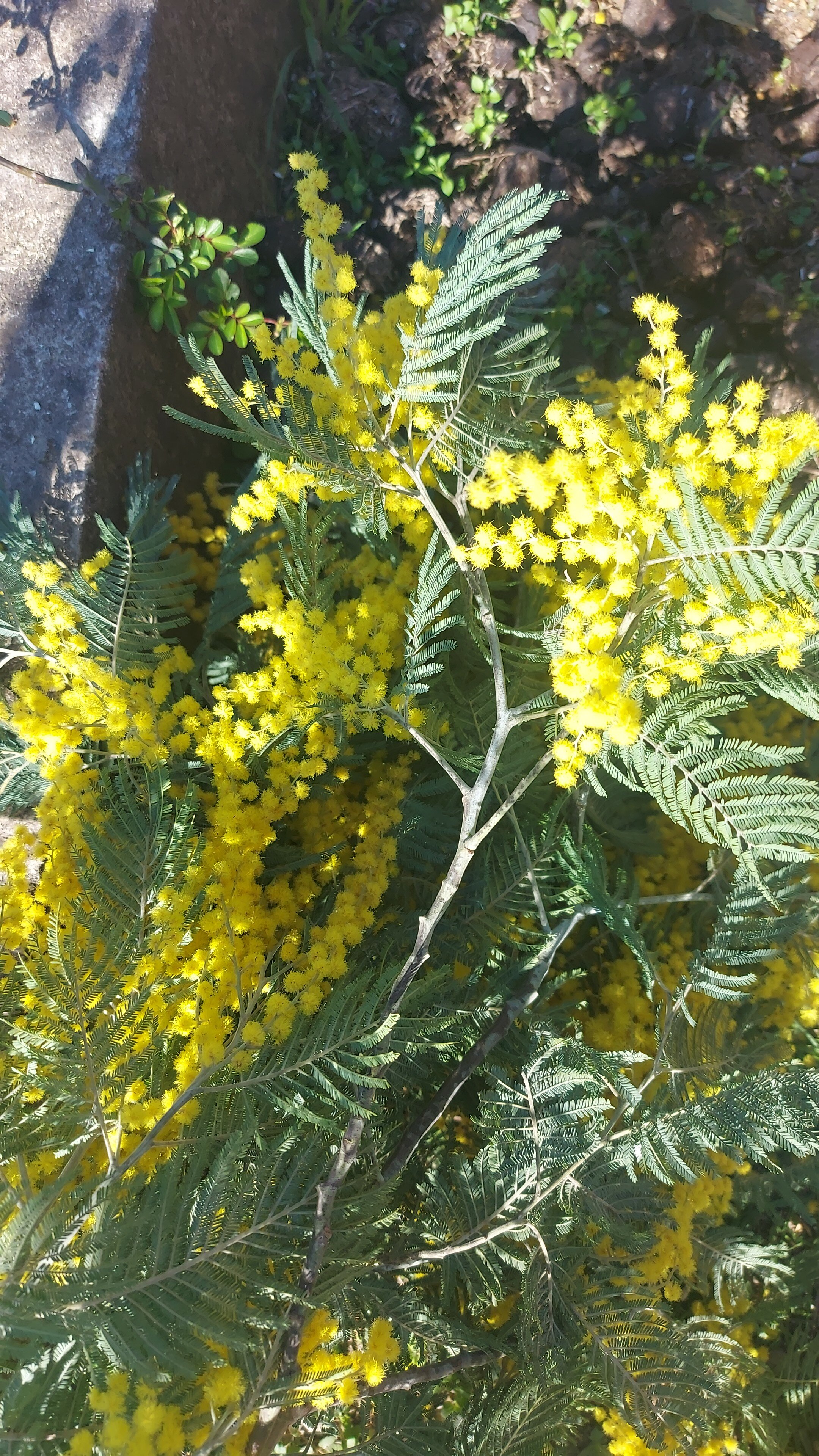 Фото Лазурный берег