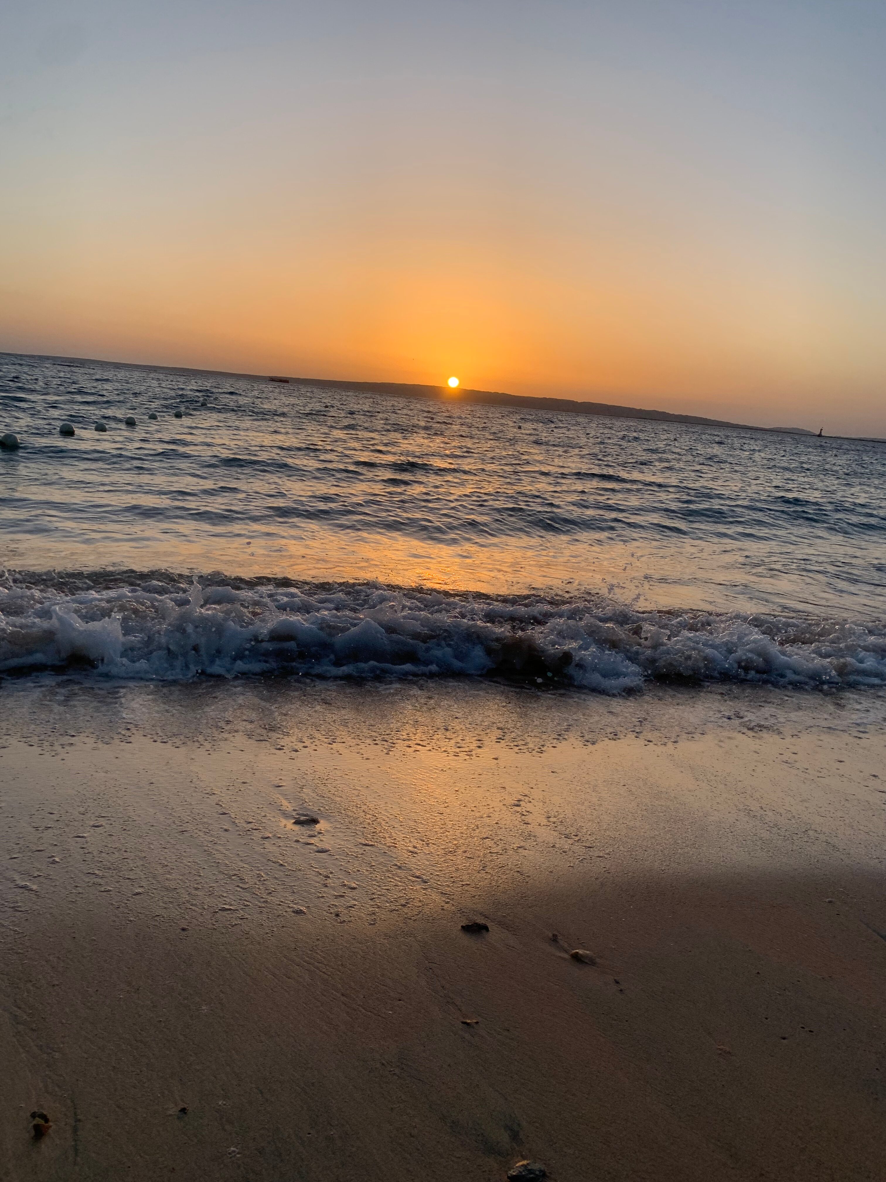 Фото Seagull Beach Resort