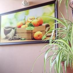 Фото Абрикос