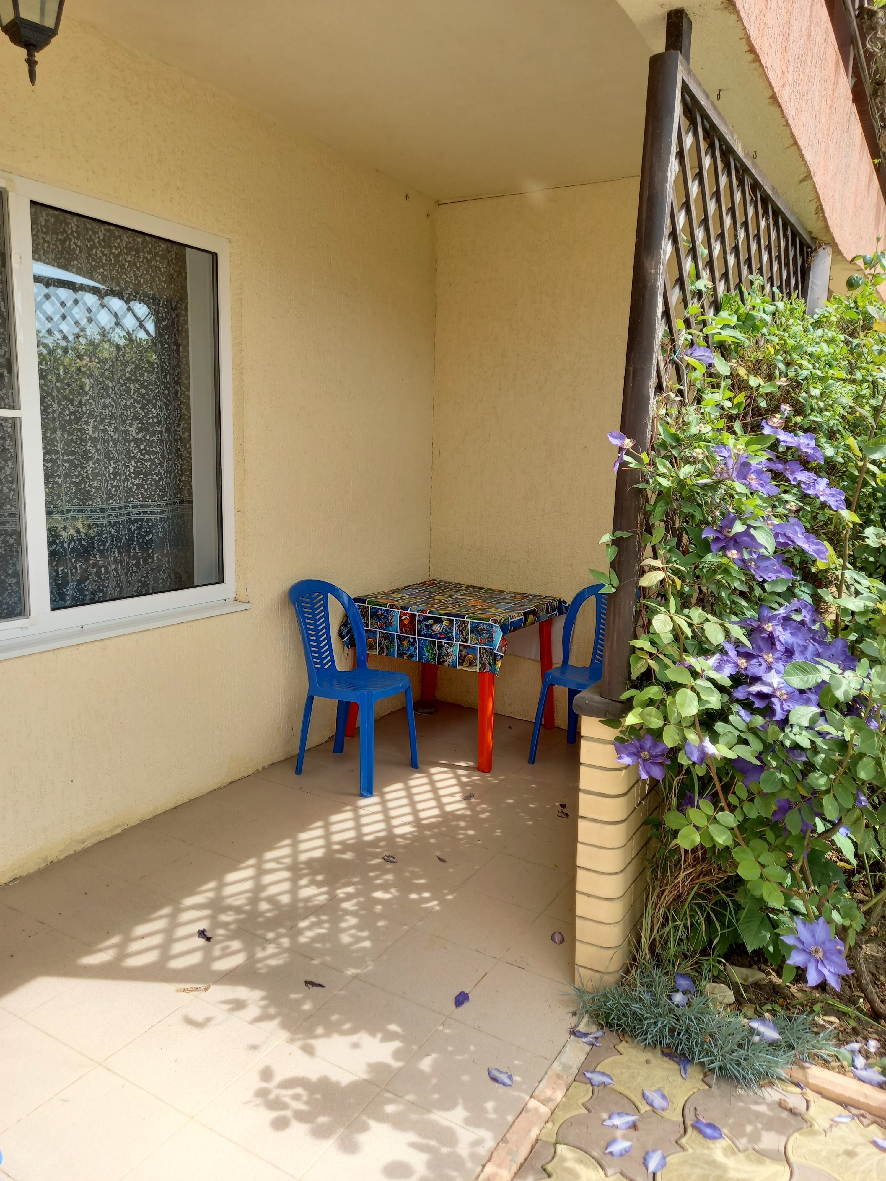 Фото Жемчужина