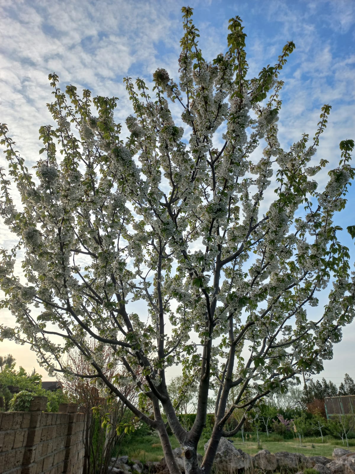 Фото Казантип центр