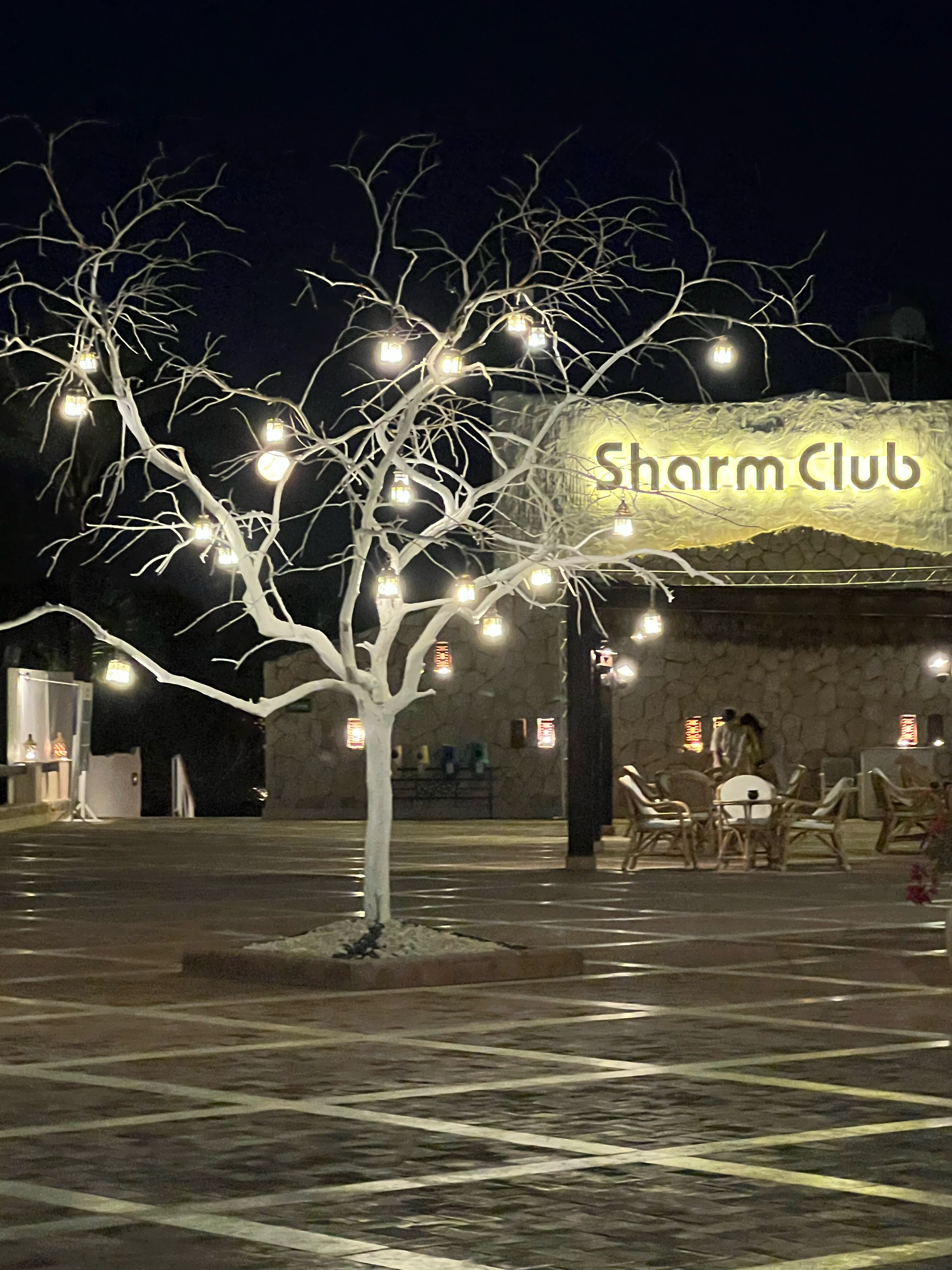 Фото Sharm Club Beach Resort