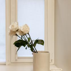 Фото Грифон