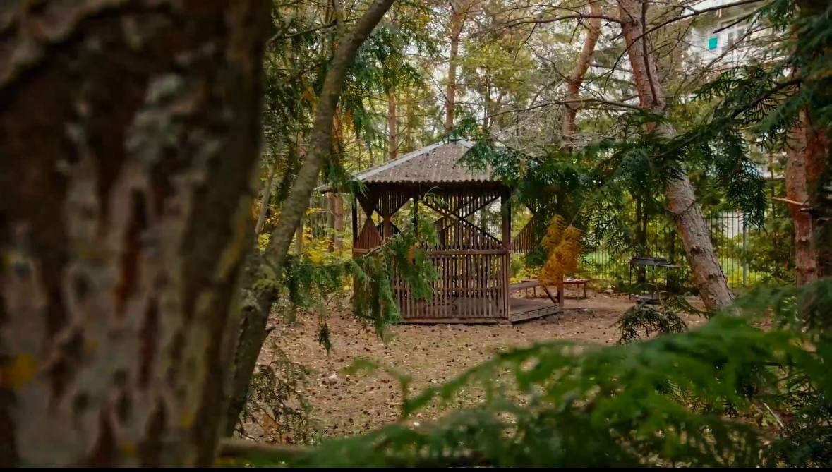 Фото Сосновый Бор