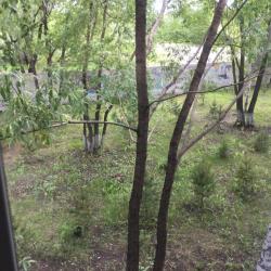 Фото Комфорт