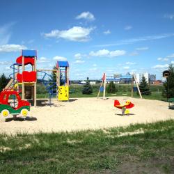 Фото Орхидея