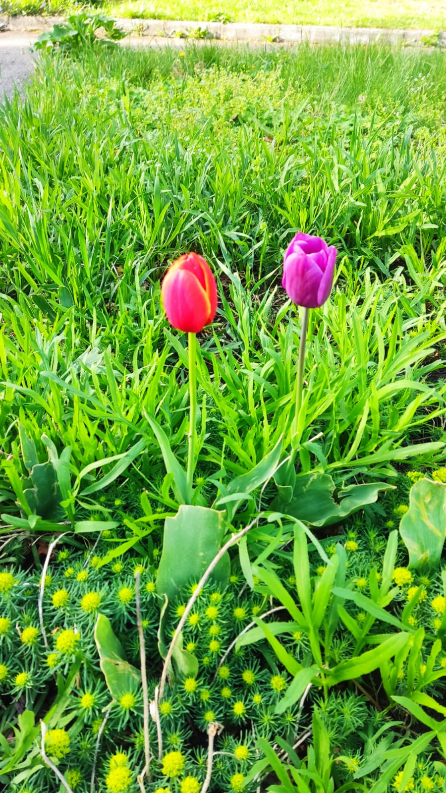 Фото Геолог Казахстана