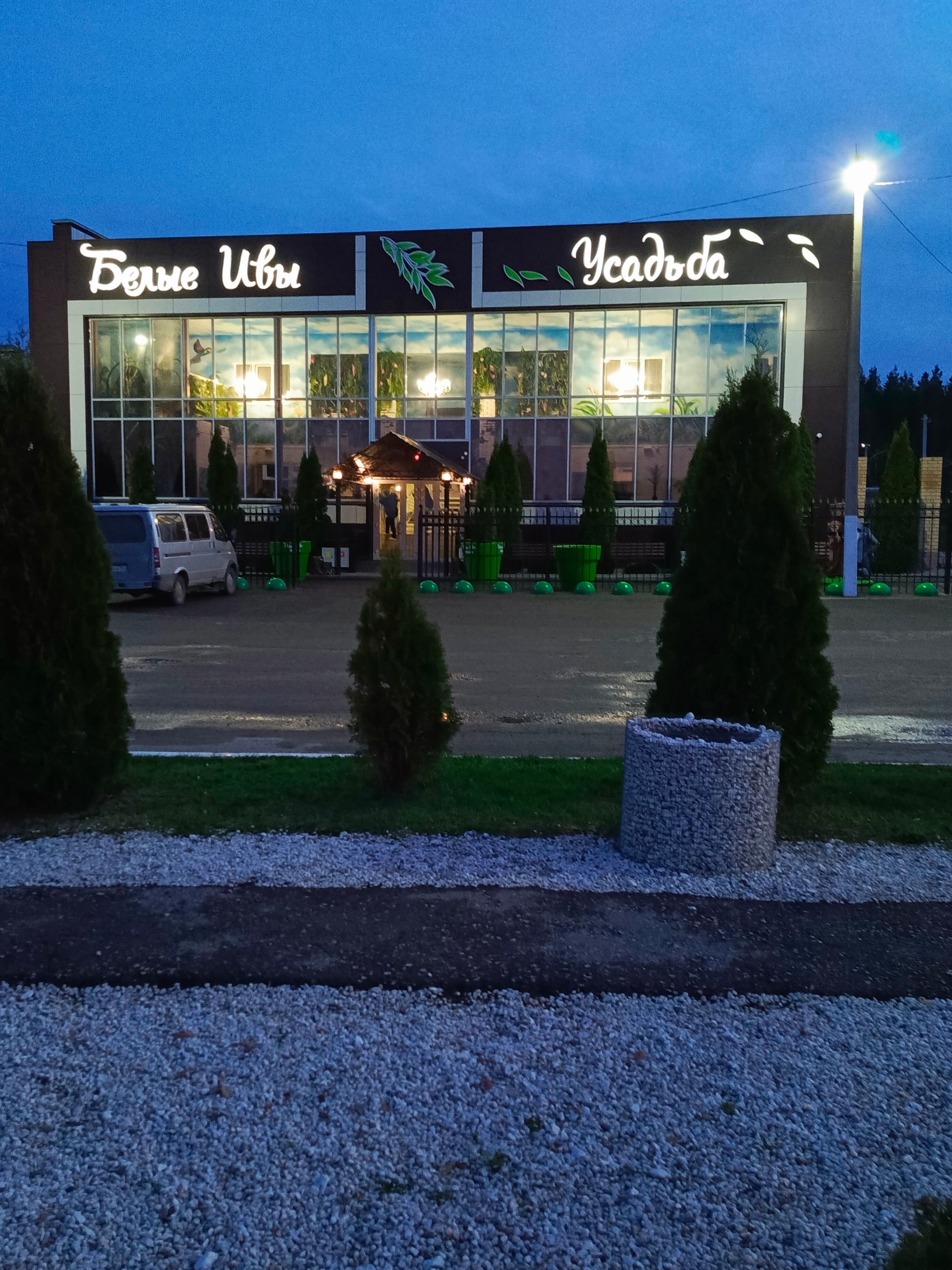 Фото Белые ивы