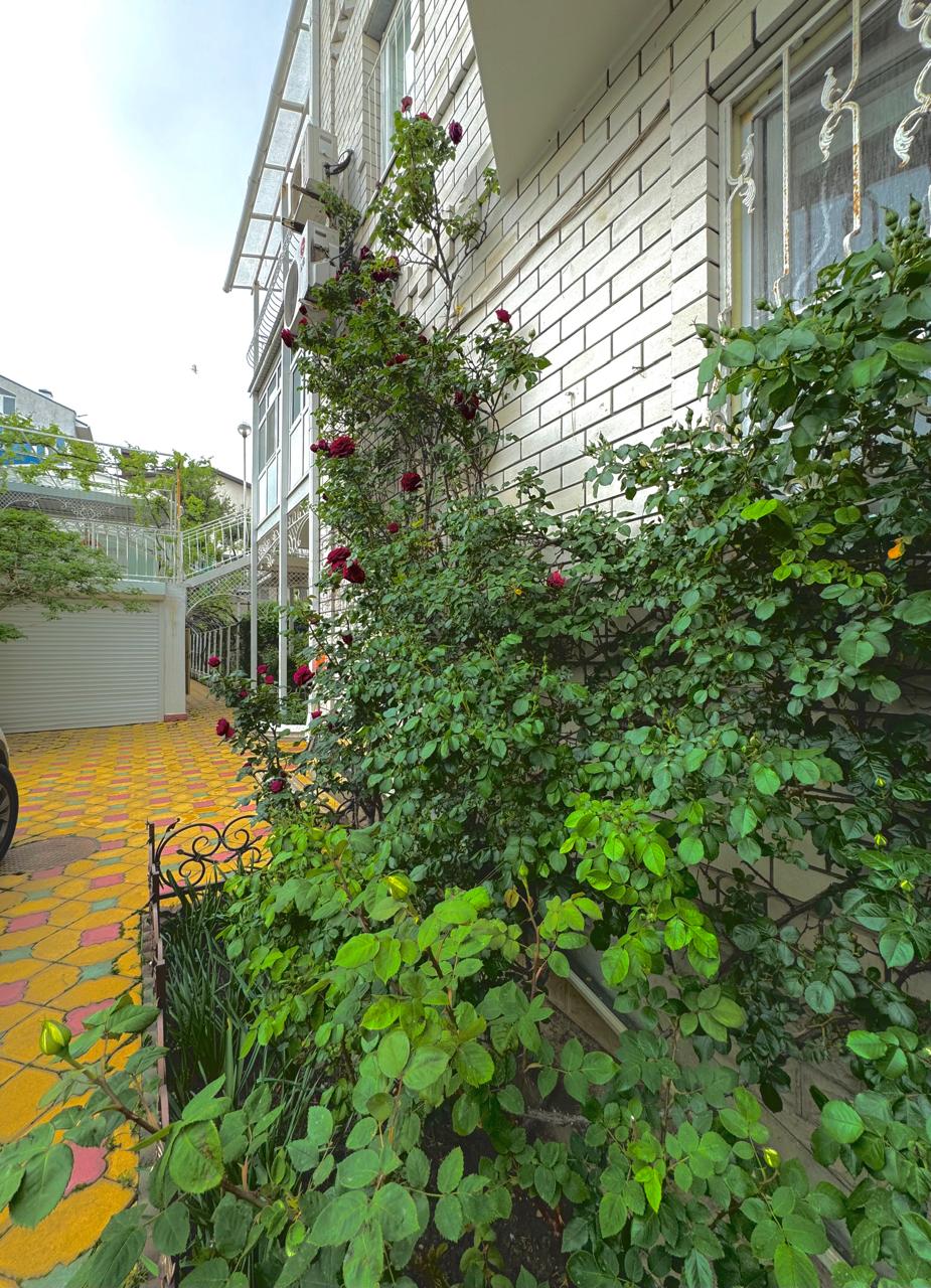 Фото 8-е Небо