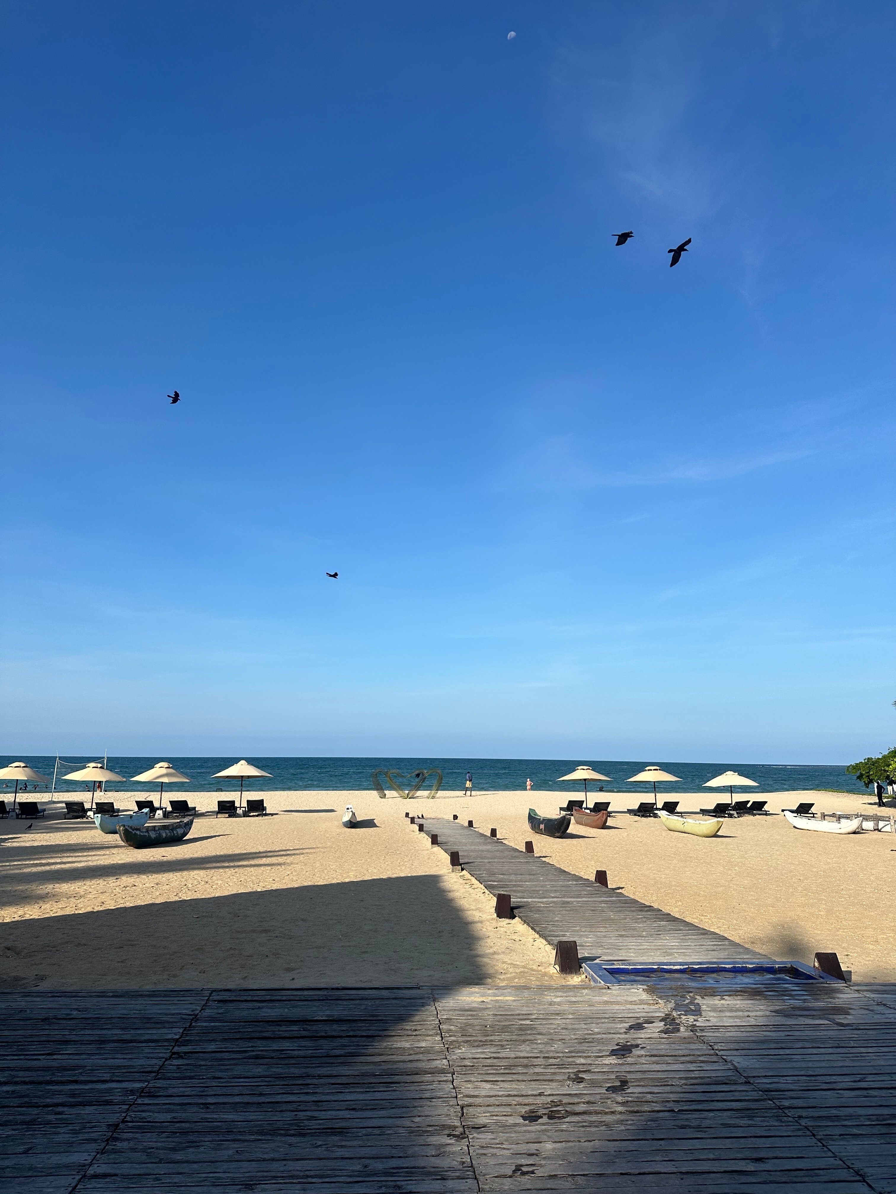 Фото Maalu Maalu Resort & SPA Pasikuda