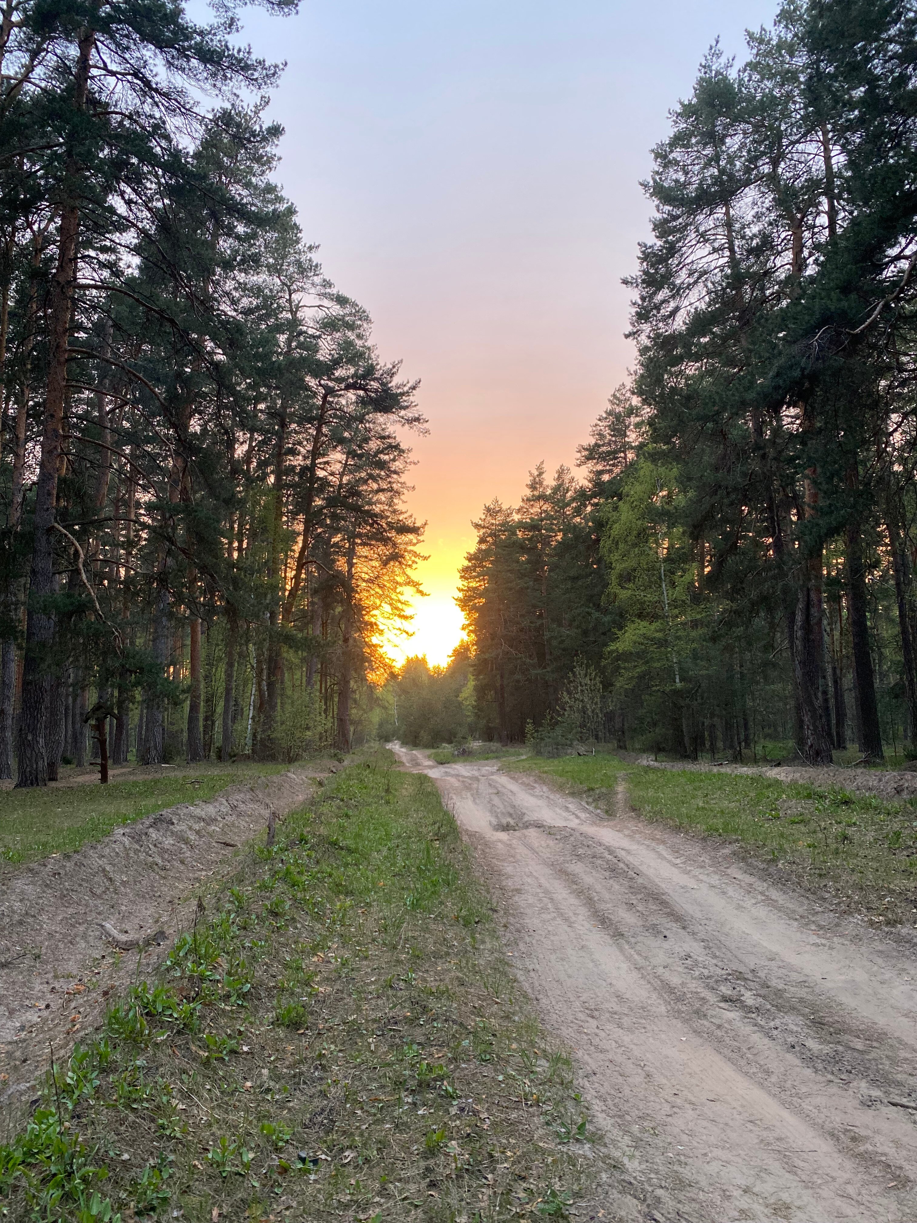 Фото Паустовский
