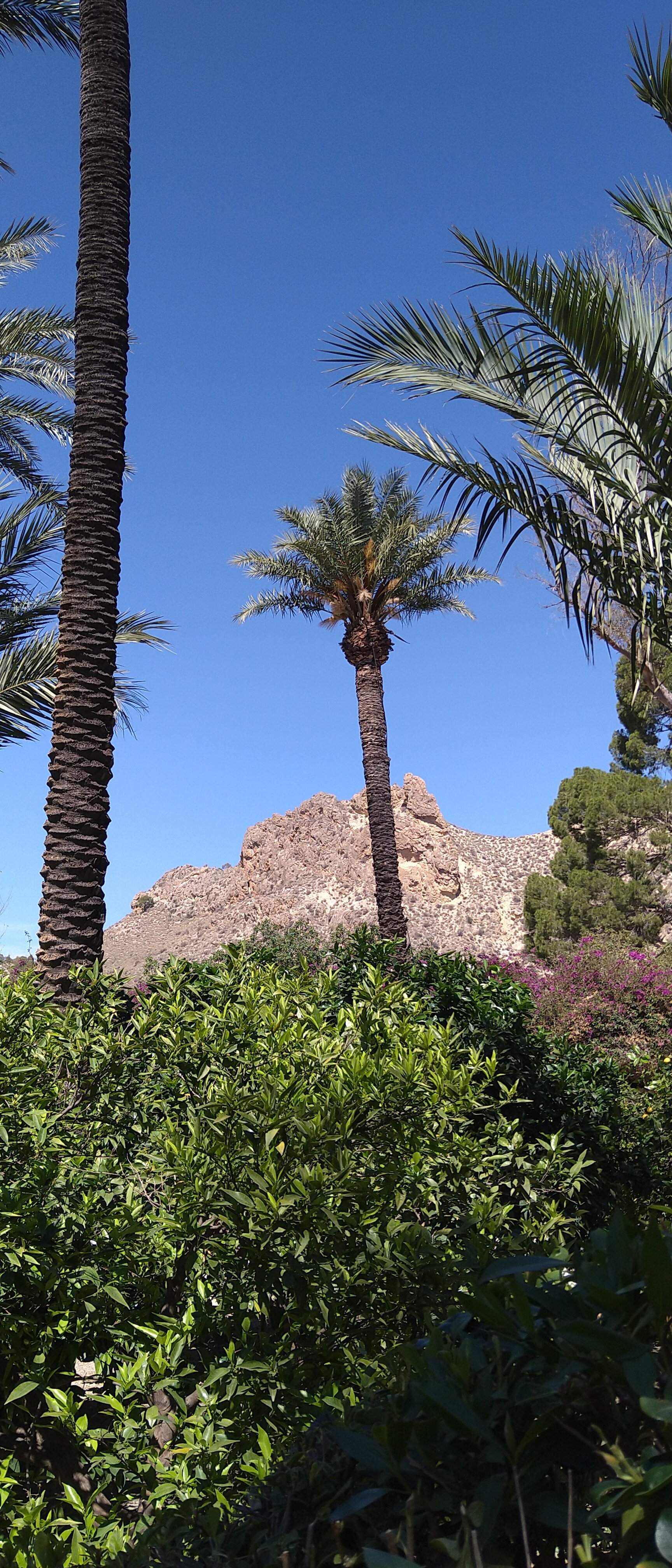 Фото Balneario de Archena - Hotel Termas