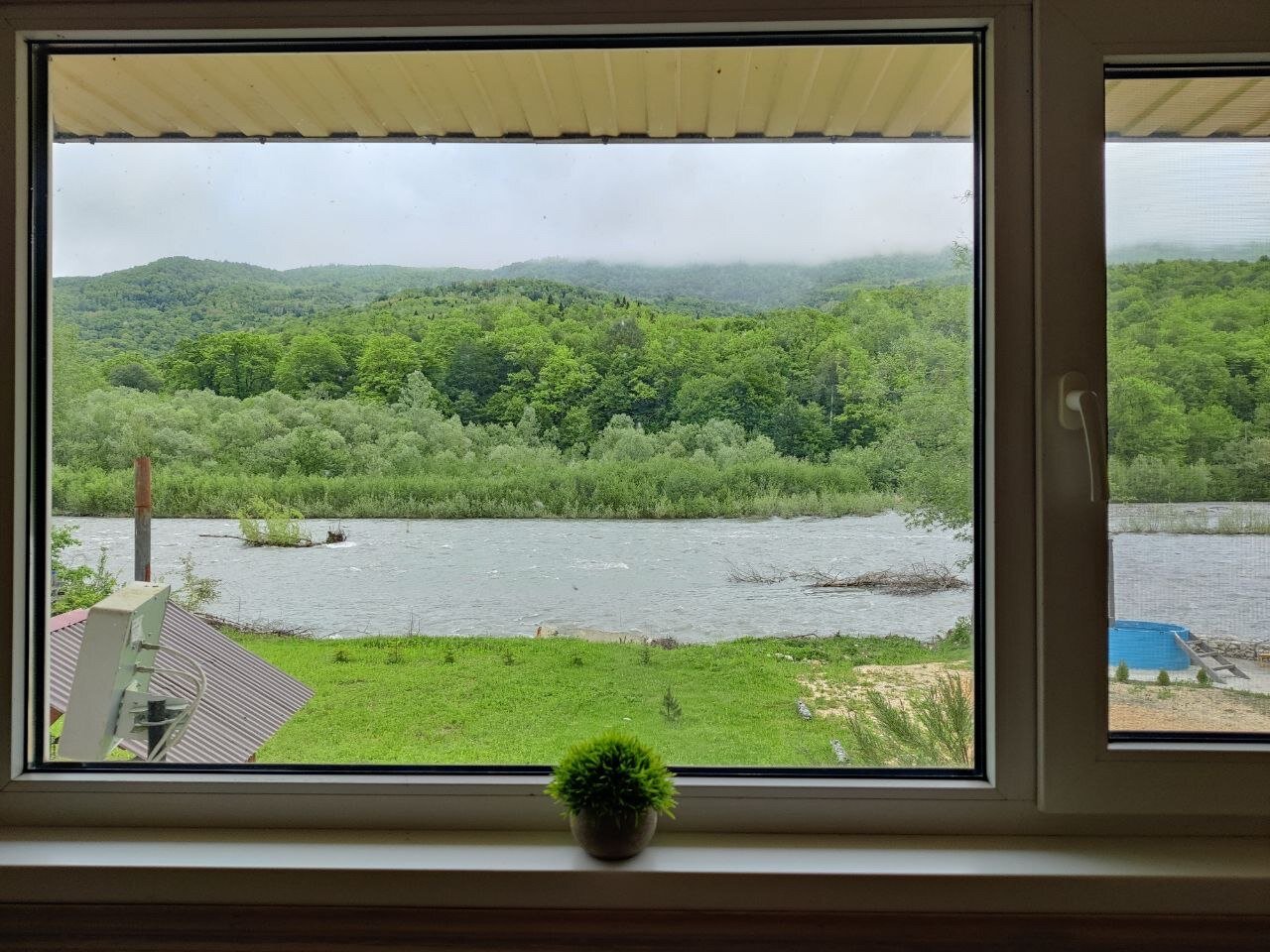 Фото Дикий дом