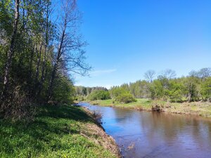 Достопримечательность (Tver Region, Zubtsovskiy munitsipalny okrug) ، معلم جذب سياحي
