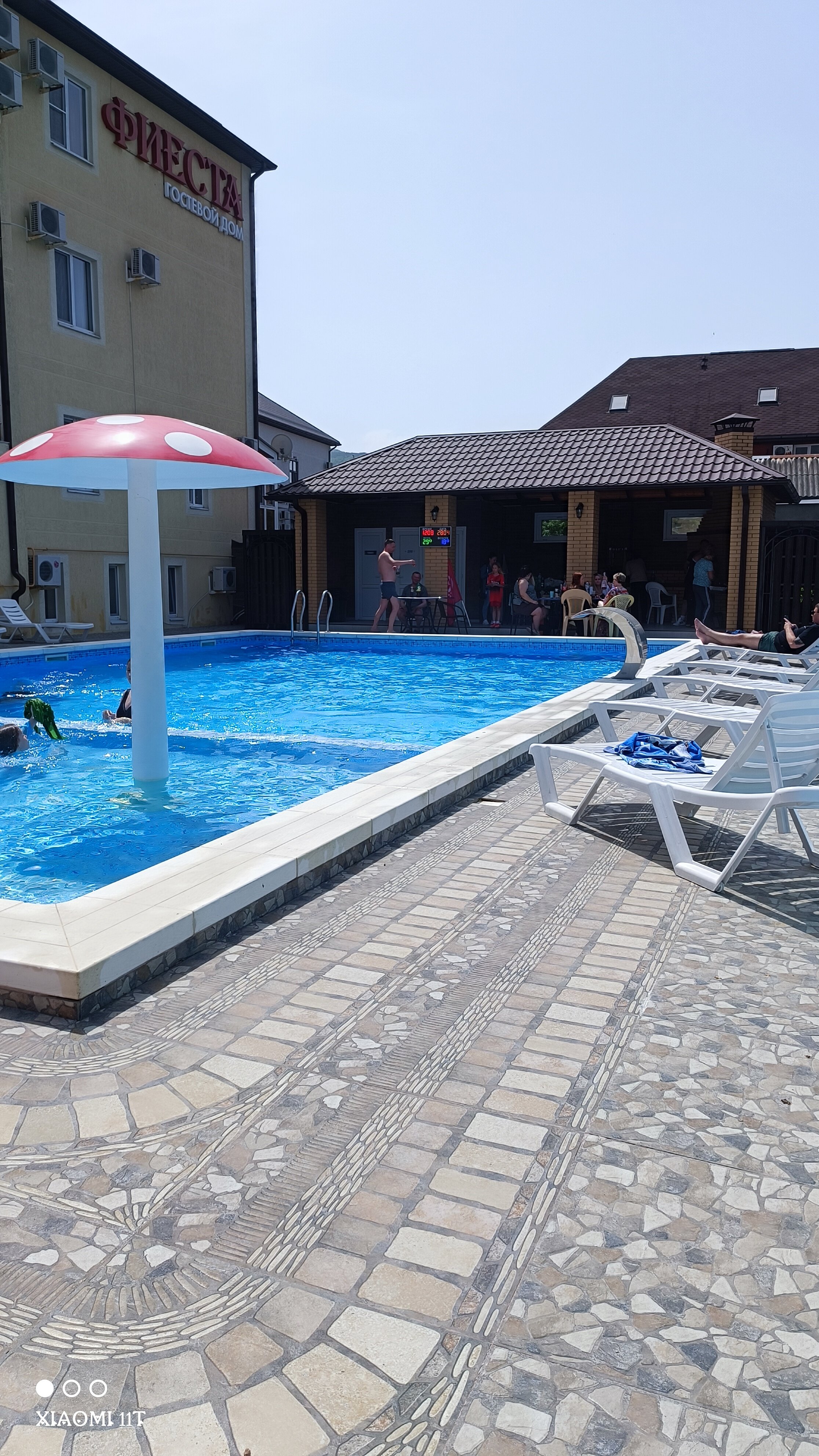 Фото Фиеста